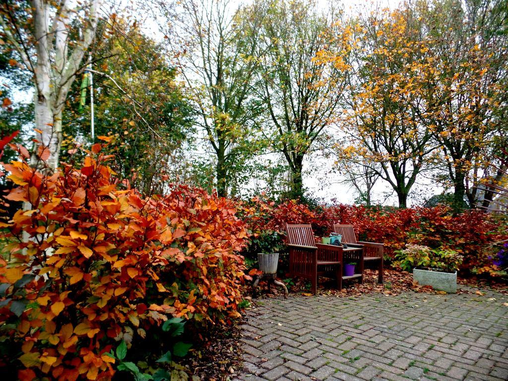 Bed En Breakfast De Pauw Wieringerwaard Zewnętrze zdjęcie