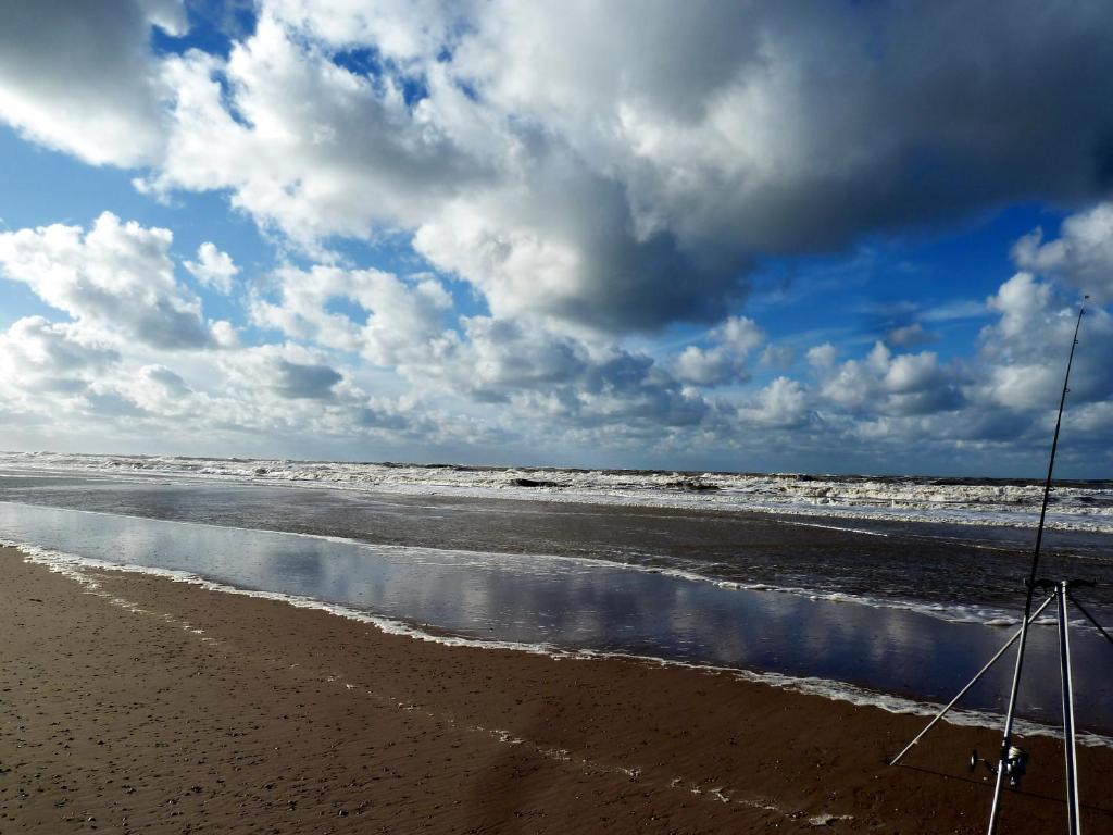 Bed En Breakfast De Pauw Wieringerwaard Zewnętrze zdjęcie