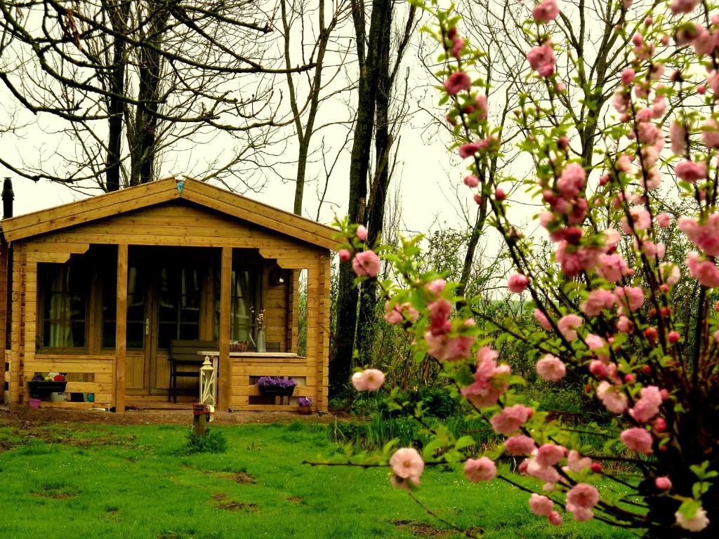 Bed En Breakfast De Pauw Wieringerwaard Pokój zdjęcie